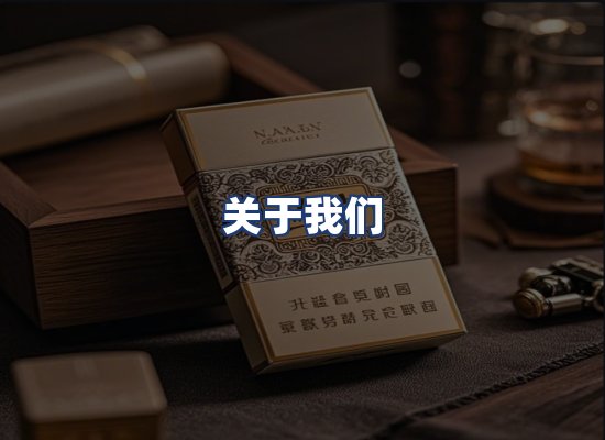 关于我们